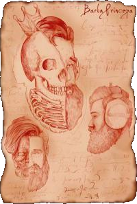 Anatomical Study Of A Beardprincess Shirt
