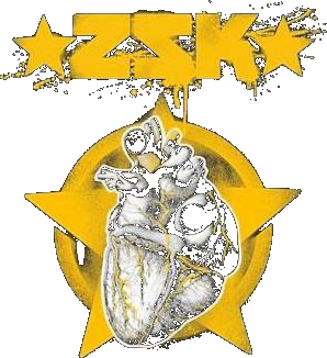 Zsk Herz Fur Die Sache 10 Jahae Tour 2024 Heart Star Shirt