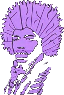 Jimi Hendrix Hair Type Shirt