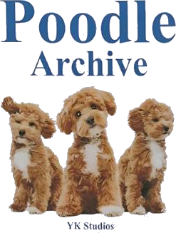 Poodle Archive Yk Studios Shirt